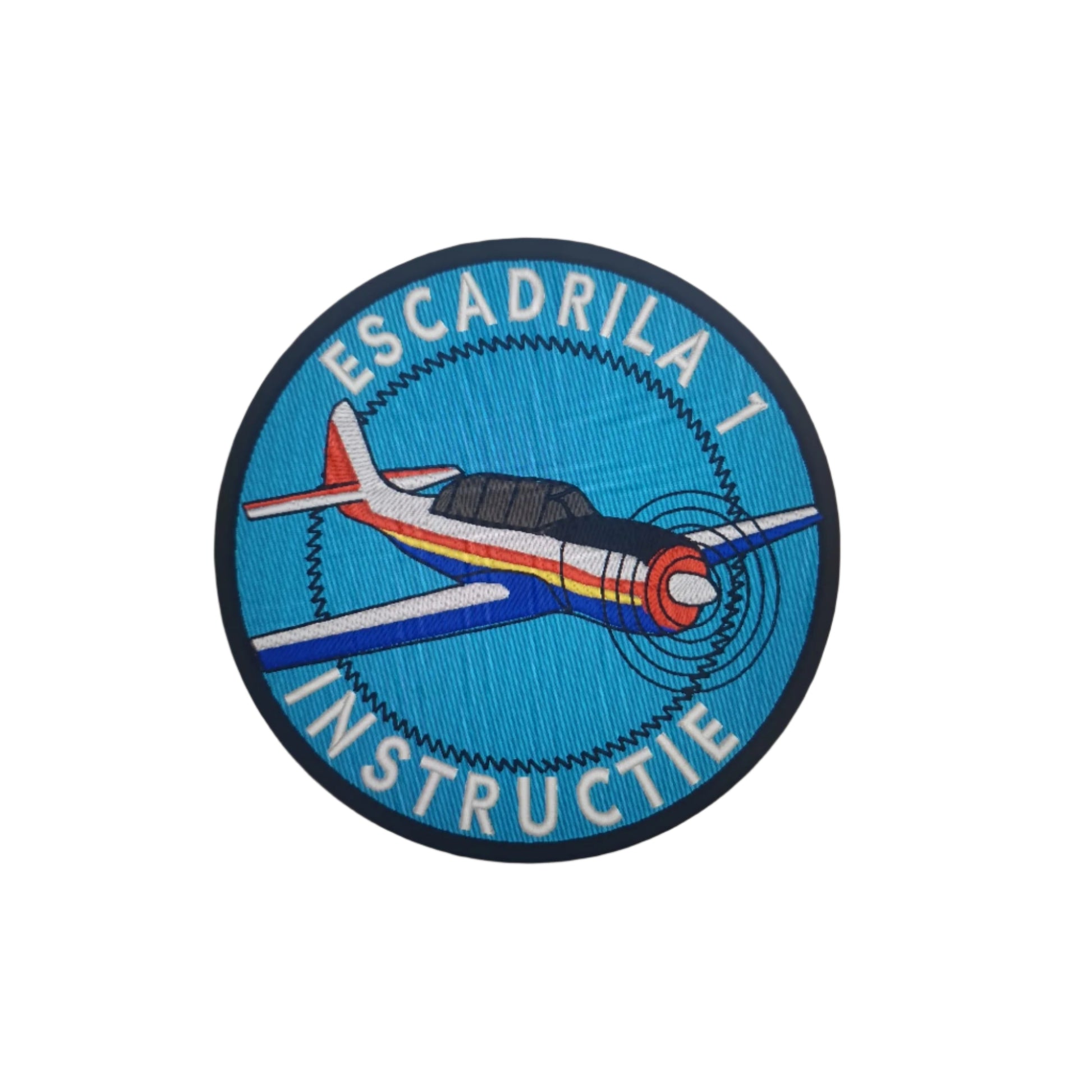 Escadrila 1 instructie