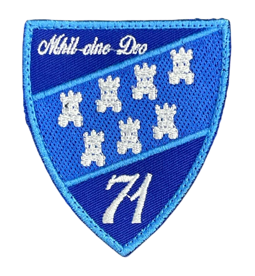 EMBLEMA BAZA 71 AERIANA PT. TINUTA DE ORAS