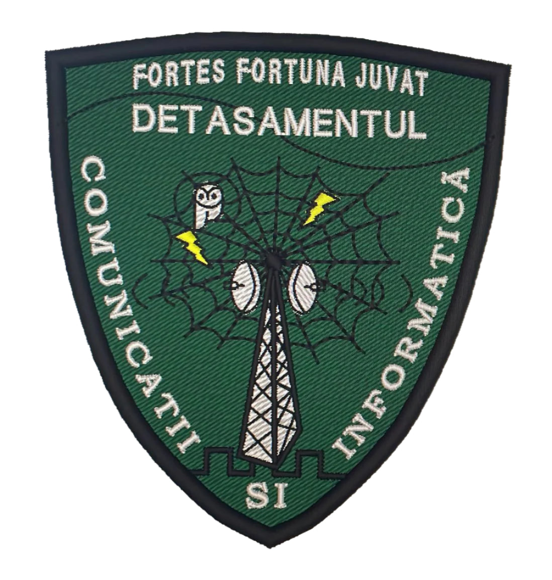 EMBLEMA DETASAMENTUL COMUNICATII SI INFORMATICA