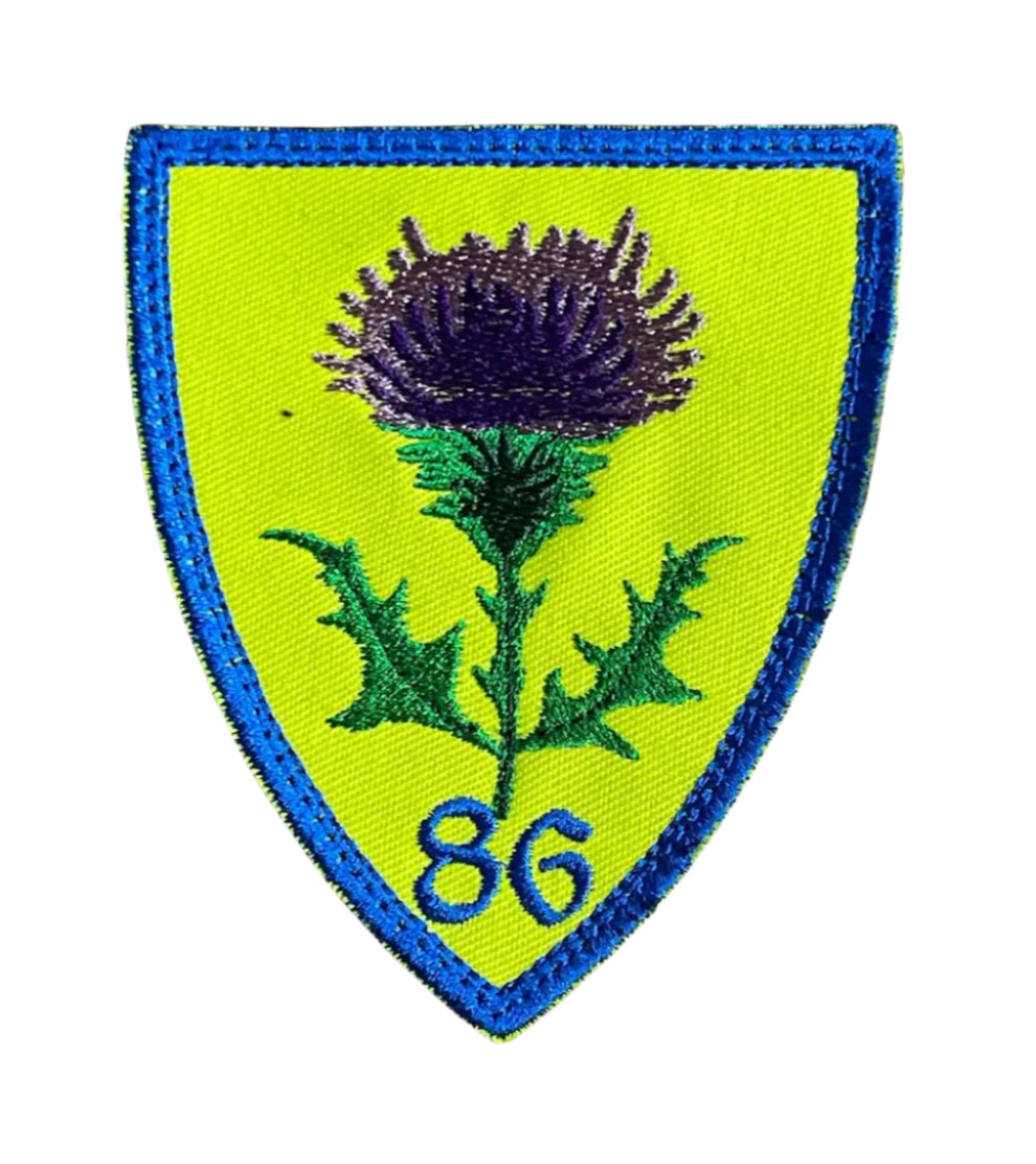EMBLEMA BAZA AERIANA 86
